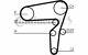 Contitech Timing Belt Kit For Opel Zafira Alfa Romeo Gt 147 156 Ct1105k3
