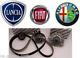 Kit Timing Belt Pump Fiat Stilo Alfa Romeo Opel 1.9 Jtd Oe C